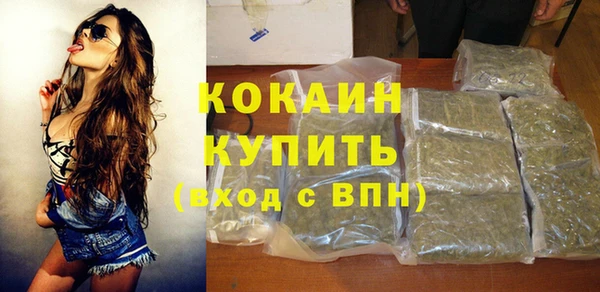 крисы Покачи