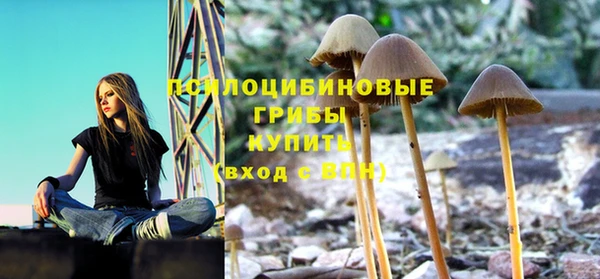 мяу мяу кристалл Алексин