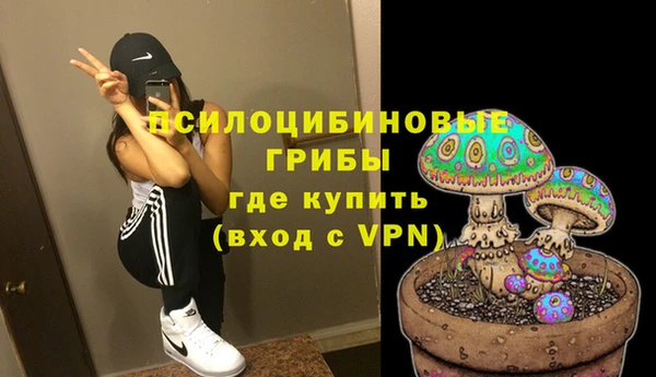 спиды Алексеевка