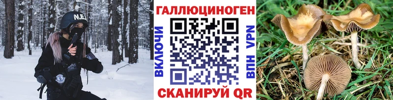 Галлюциногенные грибы мицелий  Болхов 