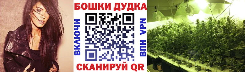 Конопля план  Болхов 